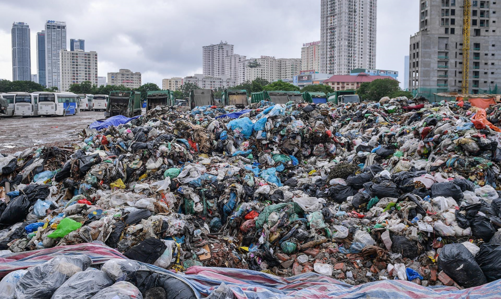 Số lượng túi nilon hàng ngày thải ra môi trường vô cùng nhiều